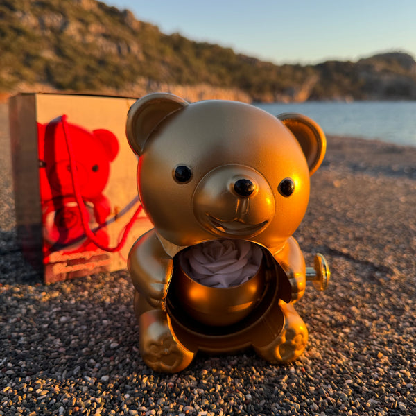 Heydify Aşk Ayısı