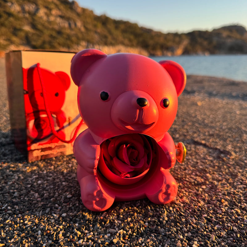 Heydify Aşk Ayısı